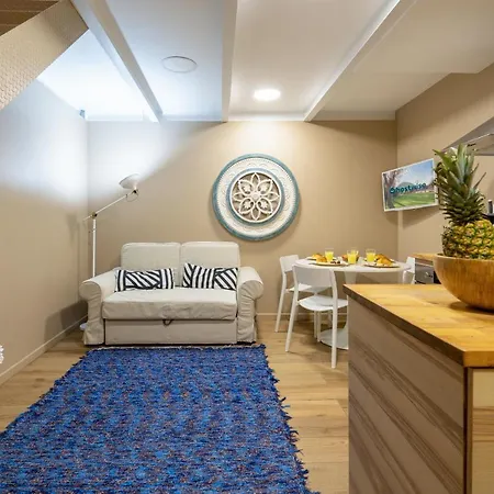公寓 Host Wise - Homely Noble Flats - Garden & Jacuzzi 波尔图