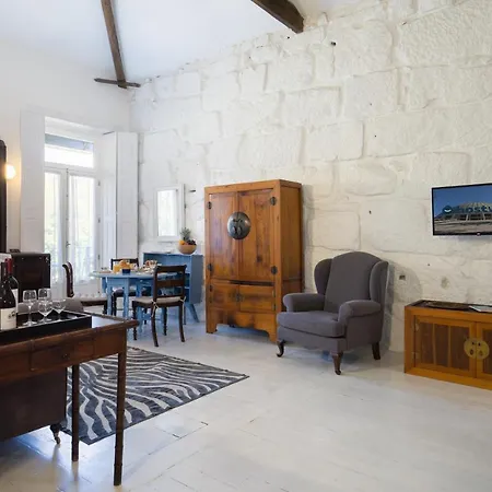 Host Wise - Homely Noble Flats - Garden & Jacuzzi Porto