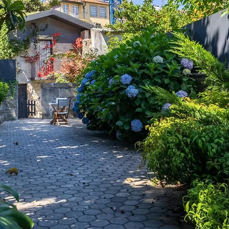 Apartment Host Wise - Homely Noble Flats - Garden & Jacuzzi *